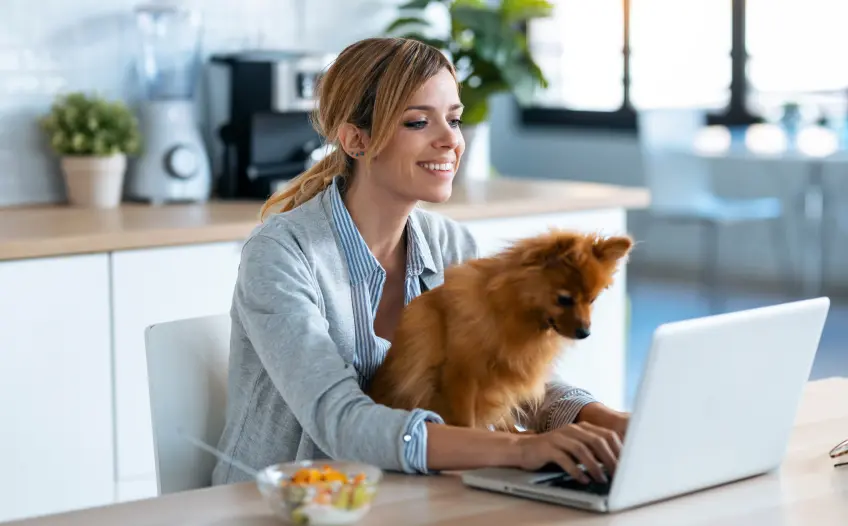 Gedijen als freelancer